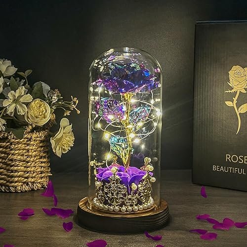 Rosa eterna en tarro de cristal, regalos para el Día de la Madre para mamá, rosa en tarro